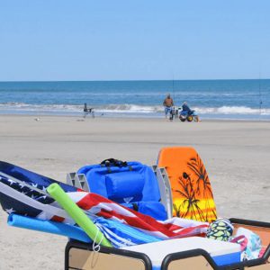 Beach Cart